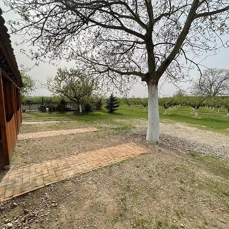 Salas Isailovi Sremska Mitrovica Exteriör bild