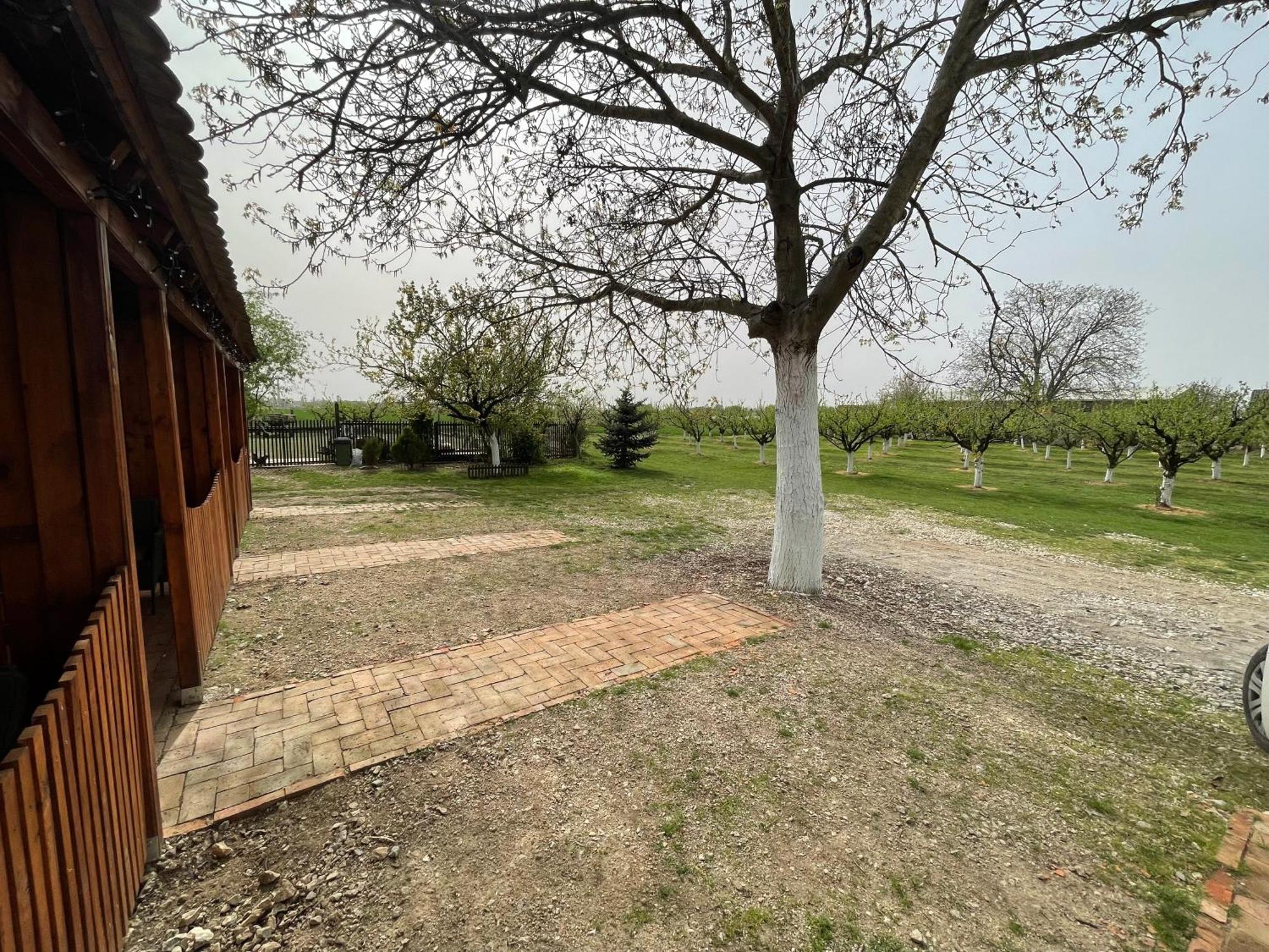 Salas Isailovi Sremska Mitrovica Exteriör bild